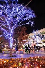 Big tree pageant Festa IN KORIYAMA